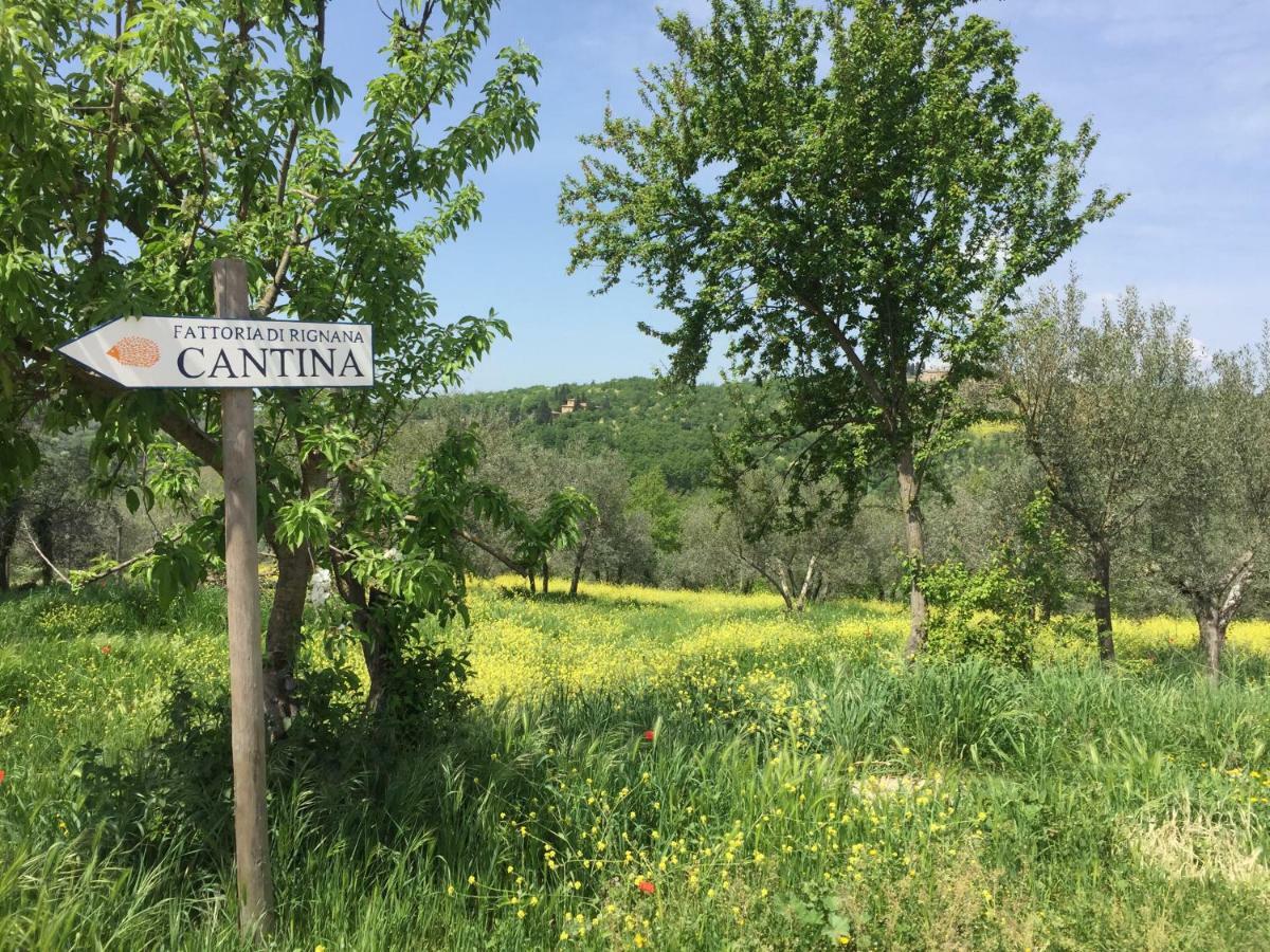Апартаменти Casa Ana Греве-ін-К'янті Екстер'єр фото